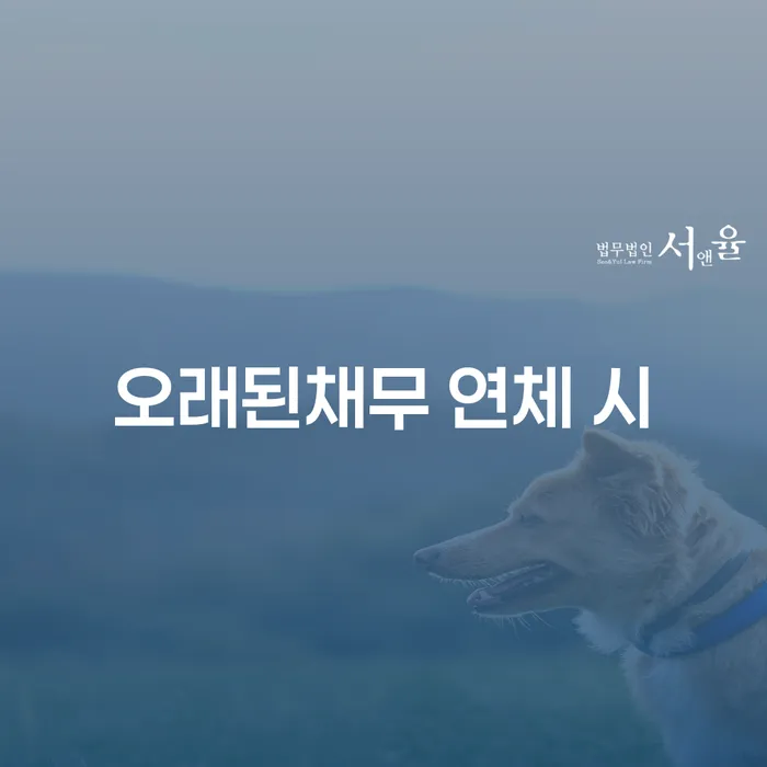 빚갚는법 개인회생 무료로 확인하는 방법