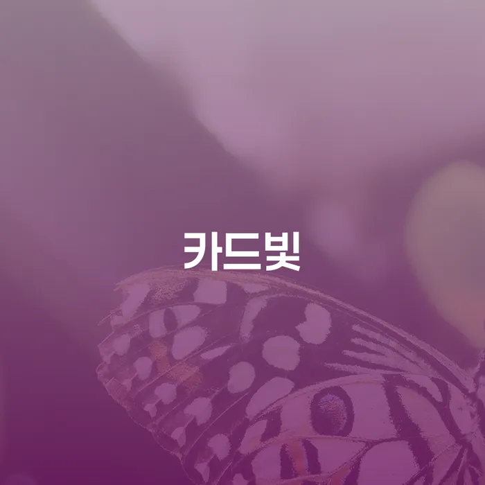 면책확인의소 개인회생 처리방법 간편비교