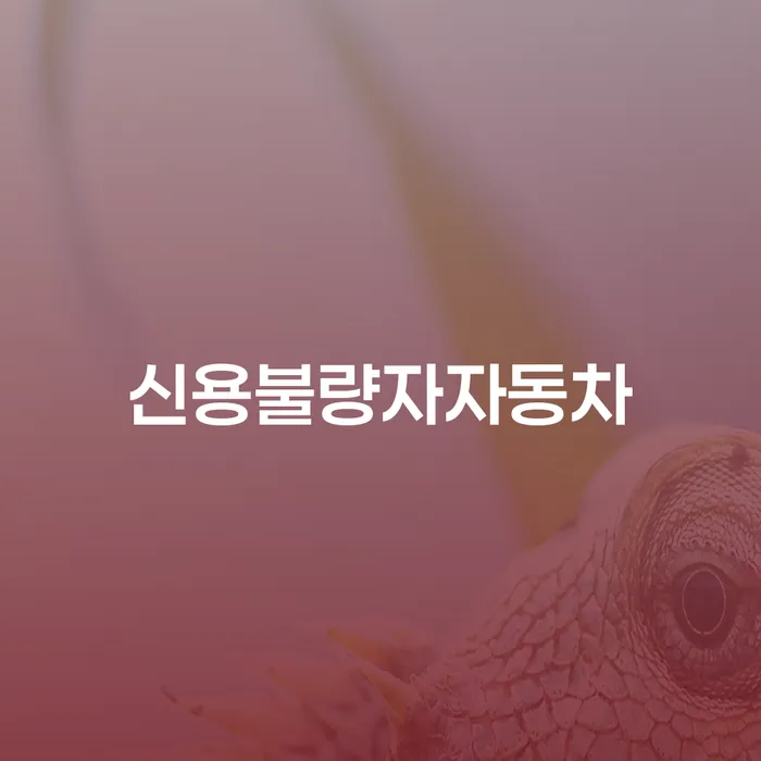 특별면책 개인회생으로 방법 해결하고 싶다면