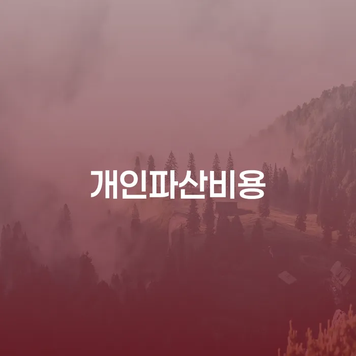채무조정 개인회생 문제해결방법 정보알아보기