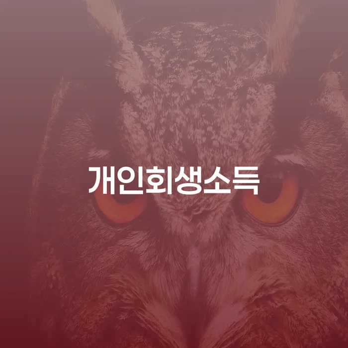 개인파산제도 채무 효과적인 해결방법 무료상담