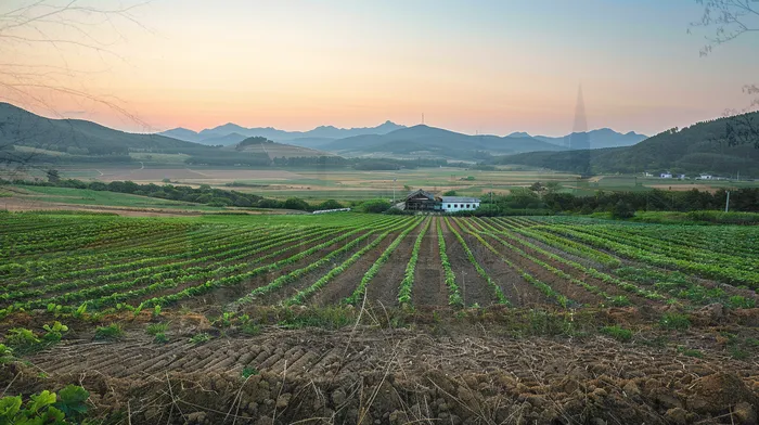 신용불량자기준