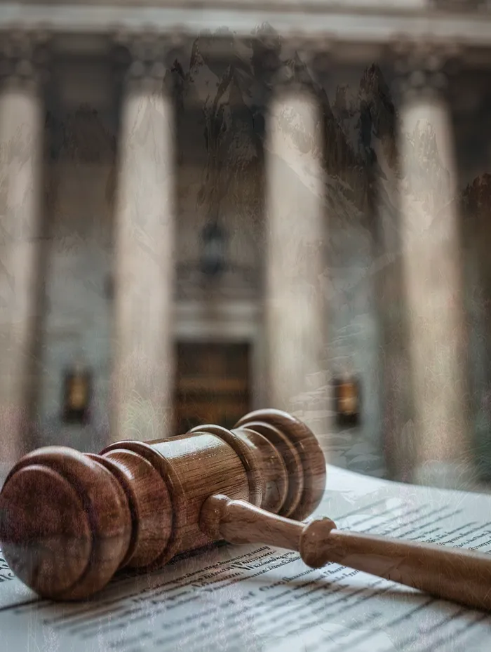 개인회생자가진단