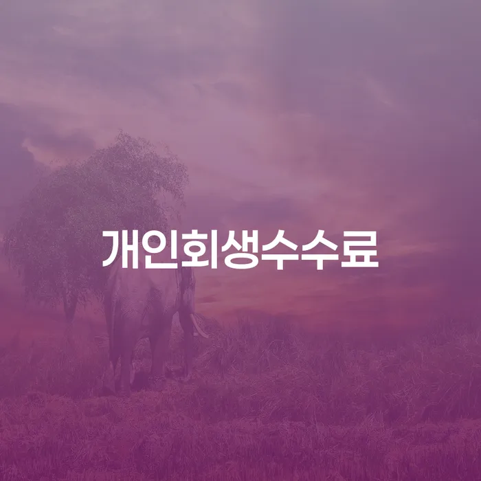 안동시 보이스피싱개인회생 연체 채무 신속해결방법 체크해보세요