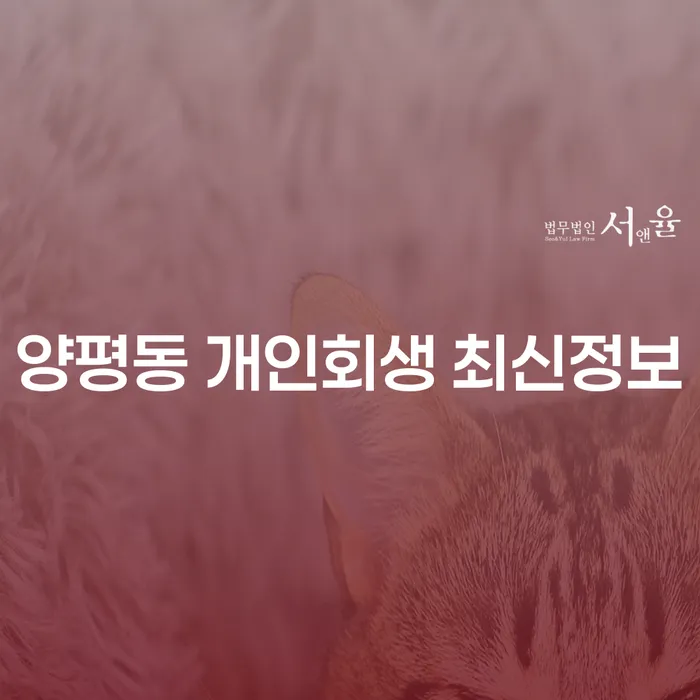 양평동 개인회생 최신정보
