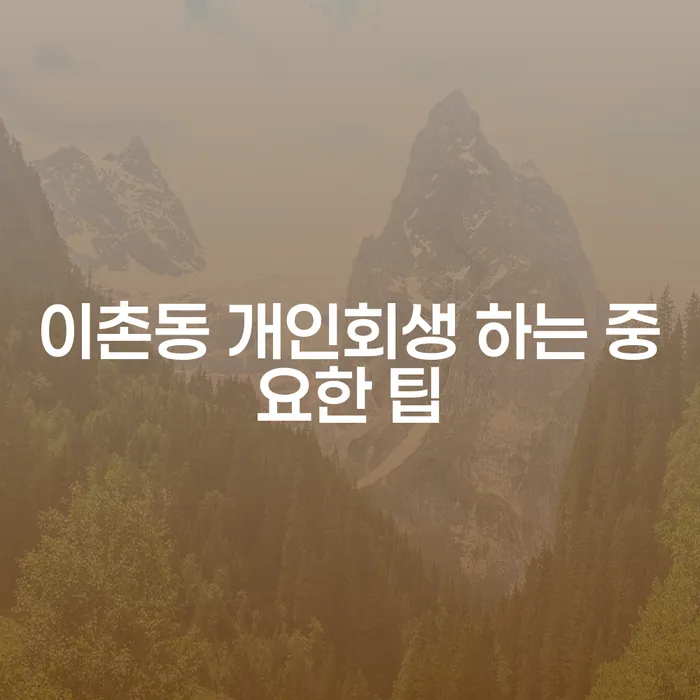 이촌동 개인회생 하는 중요한 팁