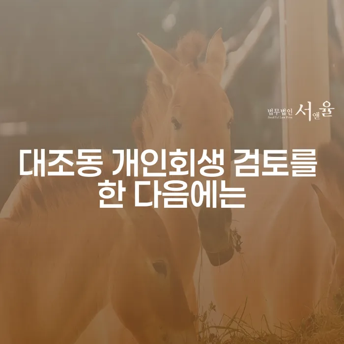 대조동 개인회생 검토를 한 다음에는