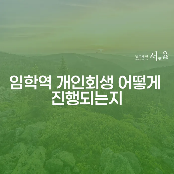 임학역 개인회생 어떻게 진행되는지