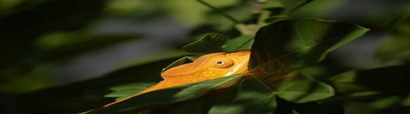 법무법인 서앤율