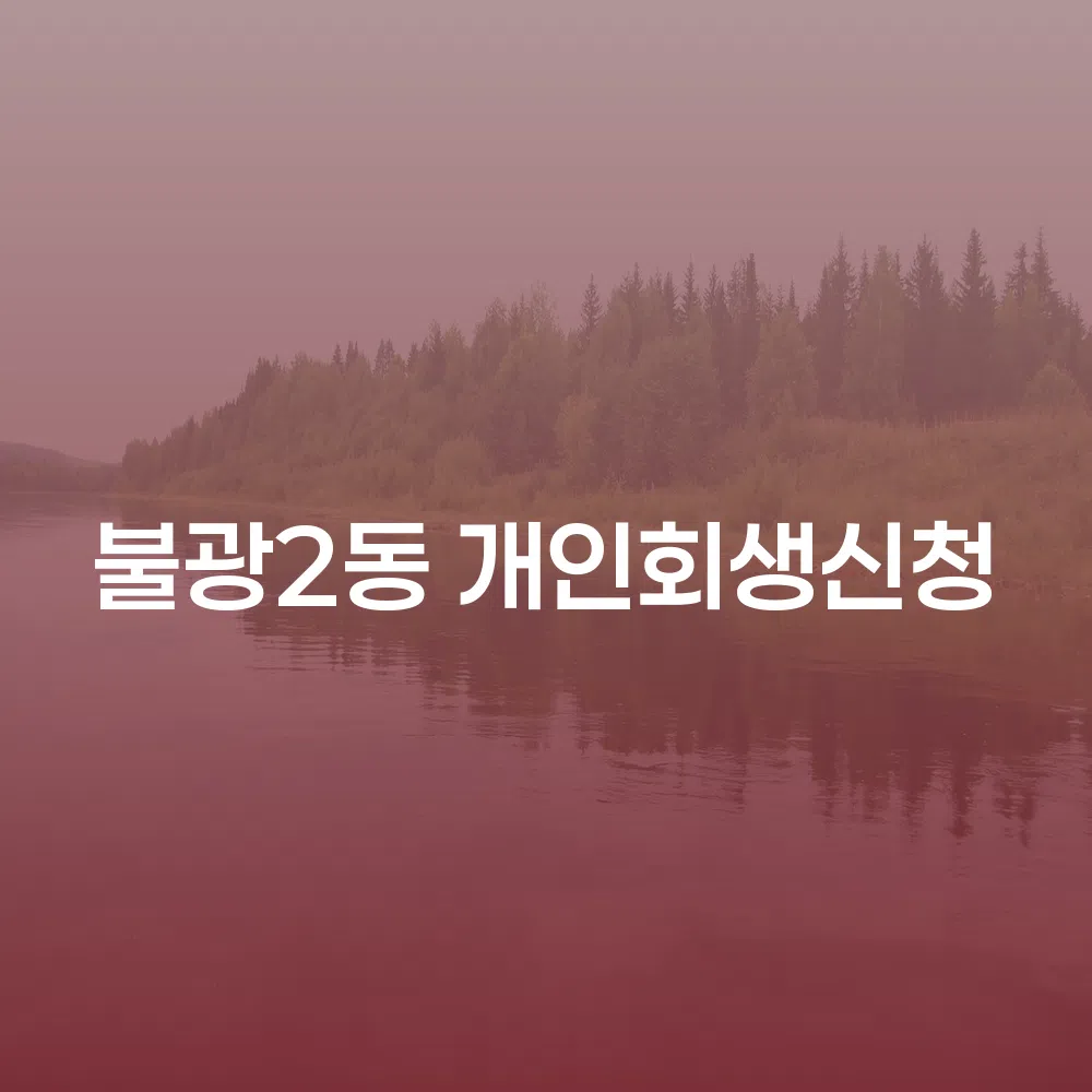 불광2동 개인회생신청 절차 및 유의사항