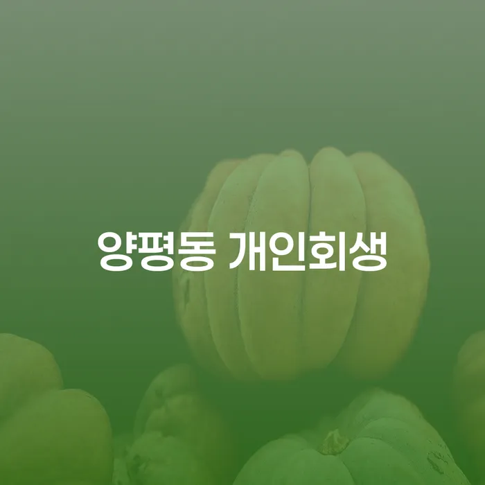 양평동 개인회생: 채무 해결의 길을 찾을 수 있는 방법은 무엇인가요?