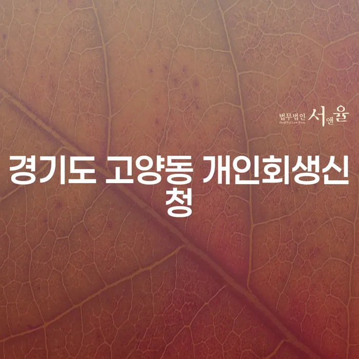 경기도 고양동 개인회생신청, 지금 시작해야 하는 이유는 무엇일까요?