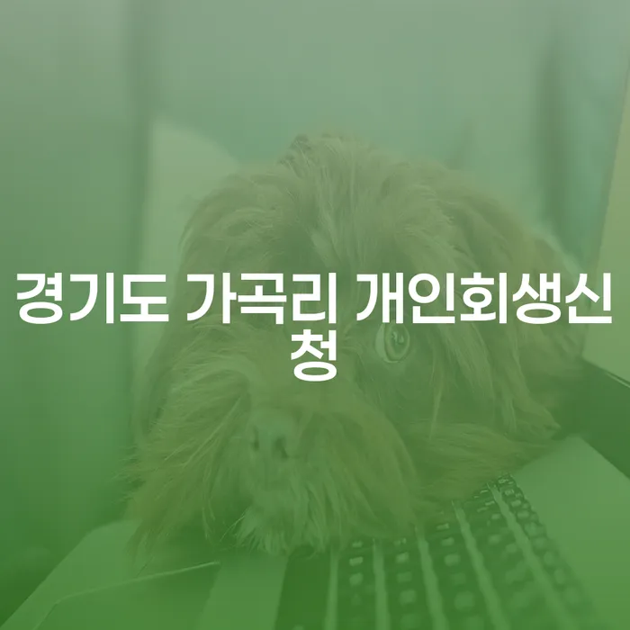 경기도 가곡리 개인회생신청을 위한 최적의 방법은 무엇일까요?