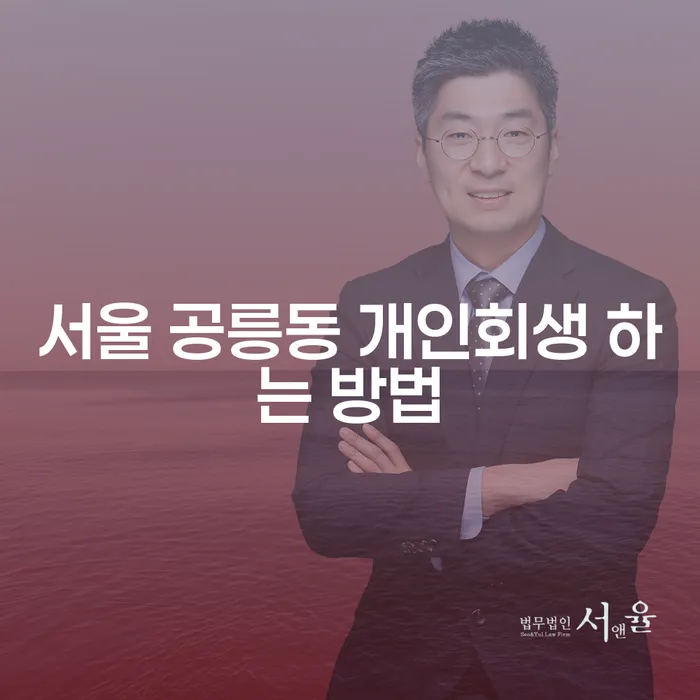 서울 공릉동 개인회생 하는 방법: 절차와 유의사항 알아보기