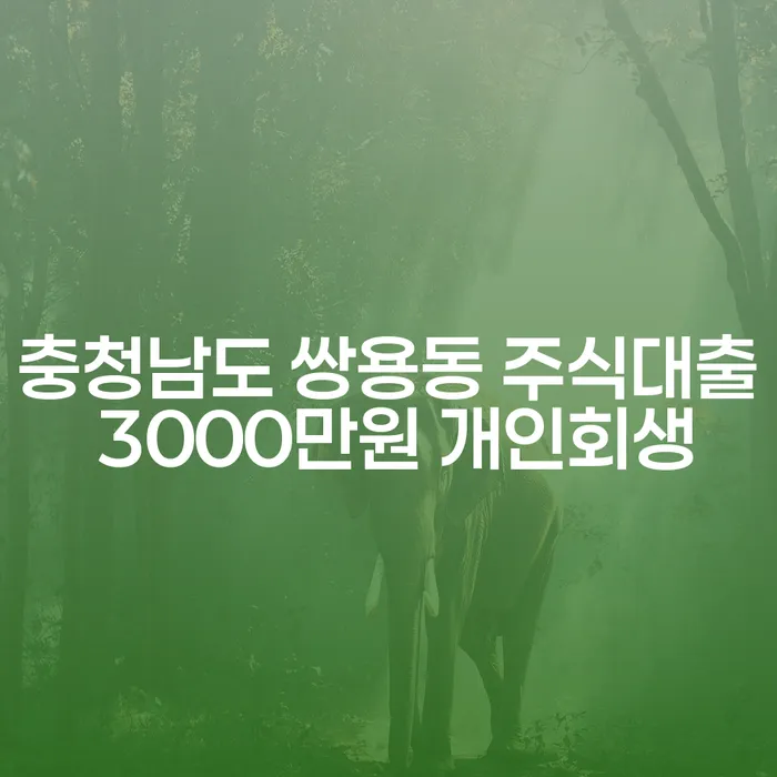 충청남도 쌍용동에서 주식대출 3000만원을 개인회생으로 해결할 수 있을까요?